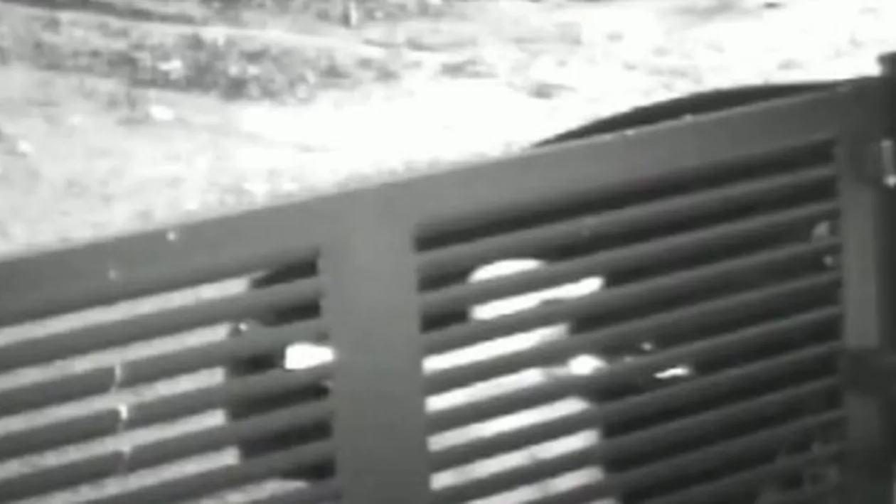 Primele imagini de la atacul asupra familiei milionarului din Argeș (VIDEO)