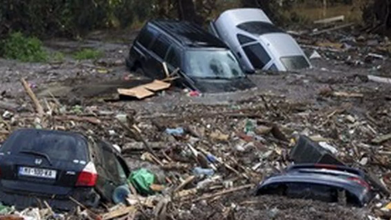 Inundații în capitala Georgiei: Cel puțin opt persoane au murit. Mai mulți tigri, lei și urși au evadat de la grădina zoologică