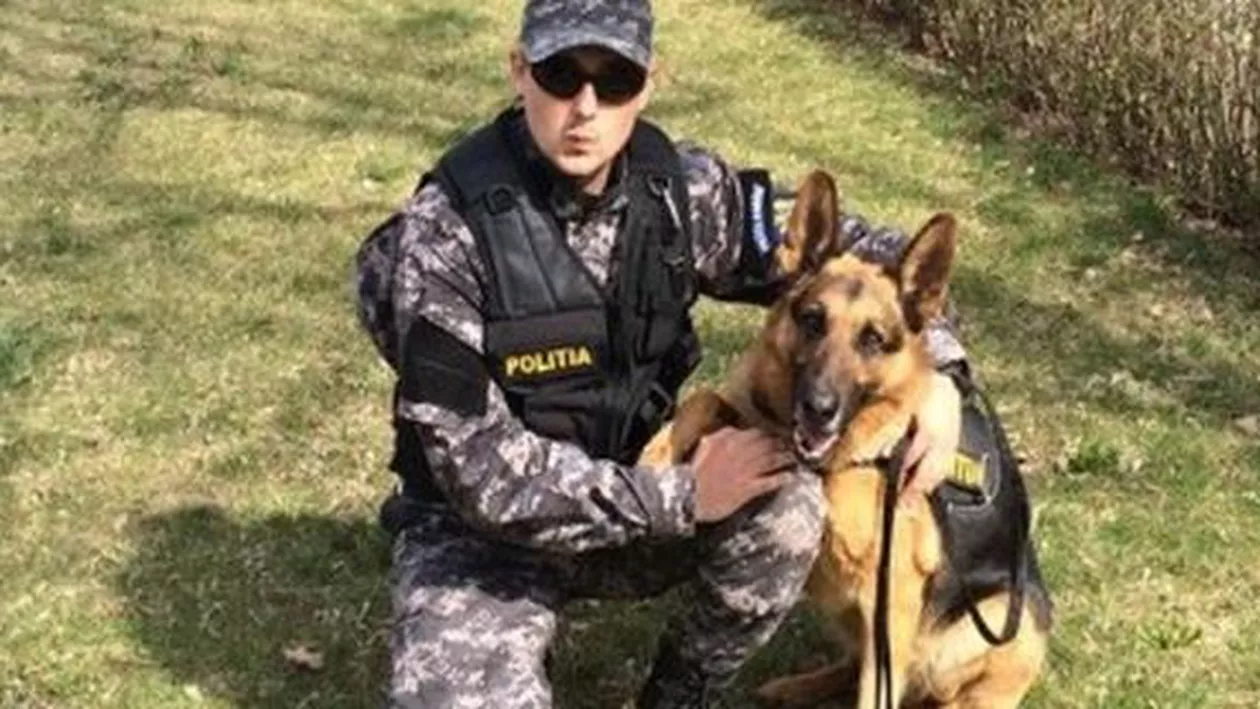 Bihor: O fetiță de doi și patru luni dispărută sâmbătă de acasă a fost găsită de un câine polițist