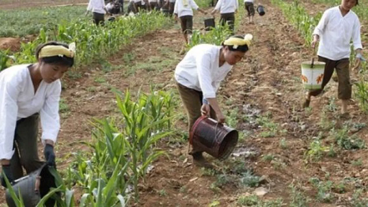Coreea de Nord trece prin cea mai gravă secetă din ultimul secol