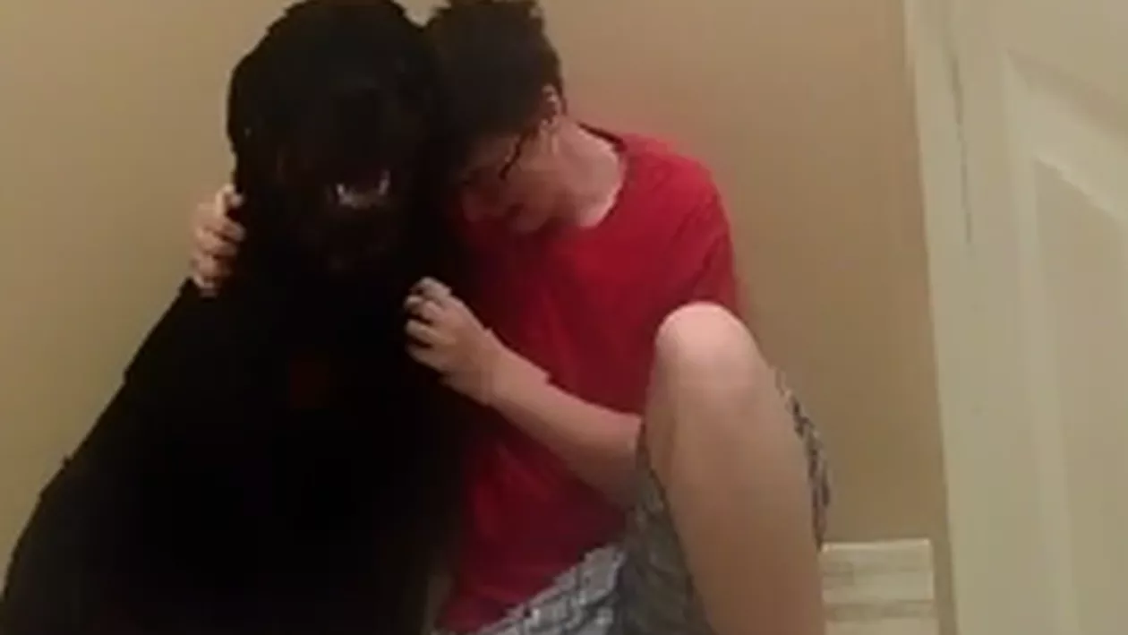 O femeie cu sindromul Asperger este ajutată de câinele său să-și revină dintr-o criză (VIDEO)