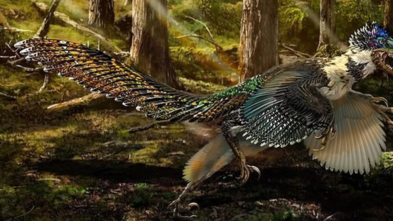 Fosila unui mare dinozaur cu pene, descoperită în China. ”Ucigașul cu pene și puf” îi uimește pe paleontologi