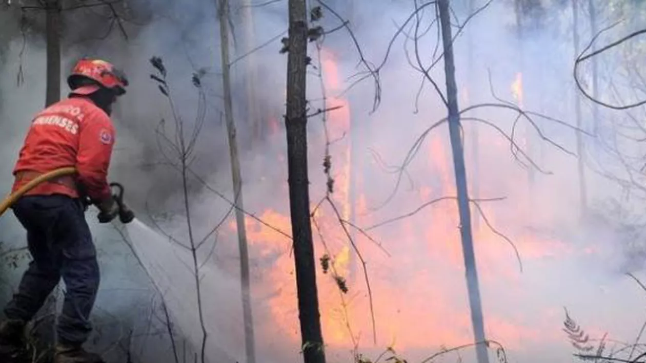 Stare de urgență în sud-estul Bulgariei din cauza unor incendii de amploare