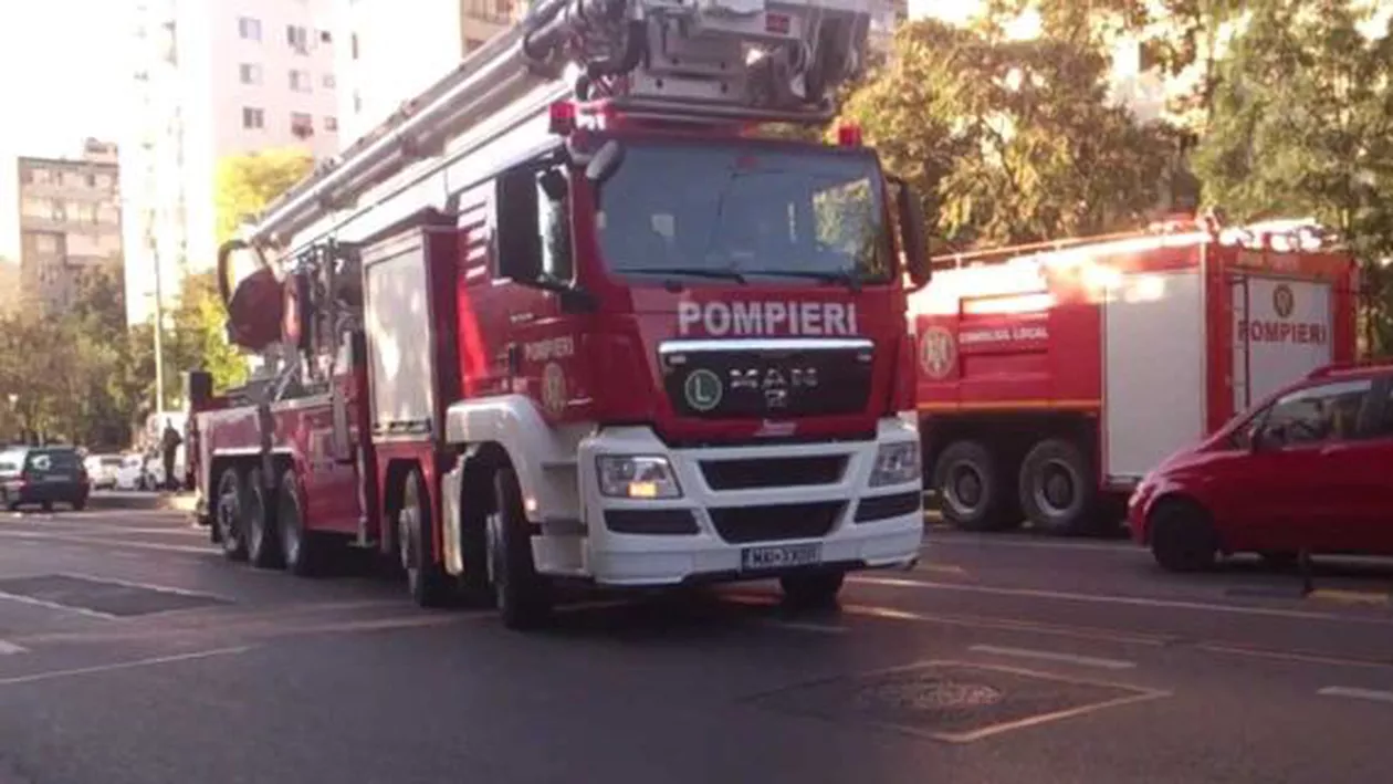 București: Un cal a căzut într-un canal colector de pe bulevardul Iuliu Maniu