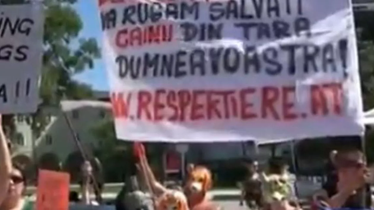 Klaus Iohannis, întâmpinat de manifestanți la Festivalul de la Salzburg. Protestatarii cereau preşedintelui să stopeze uciderea câinilor vagabonzi din România (VIDEO)