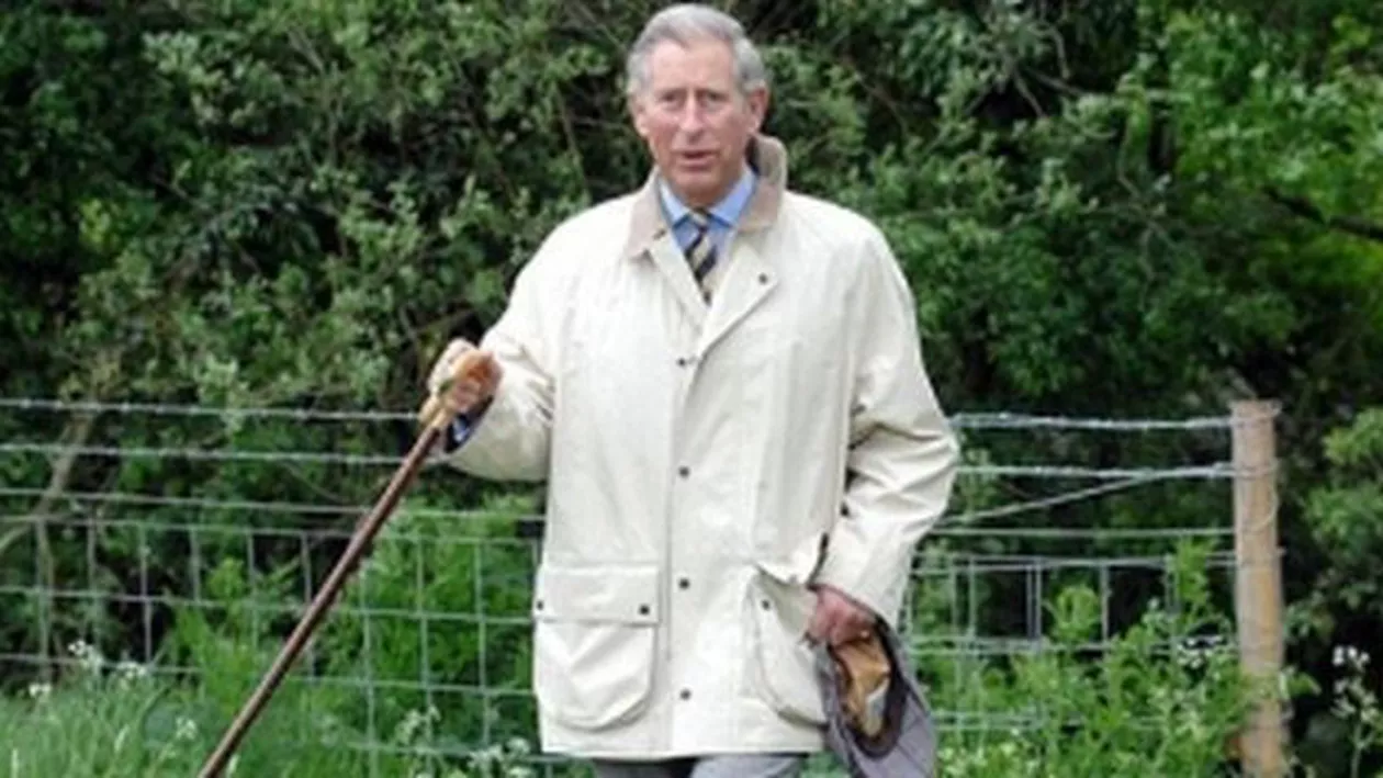O fundație patronată de Prințul Charles vrea să cumpere 100.000 de hectare de pădure în România pentru a o proteja de tăieri masive și exploatare forestieră