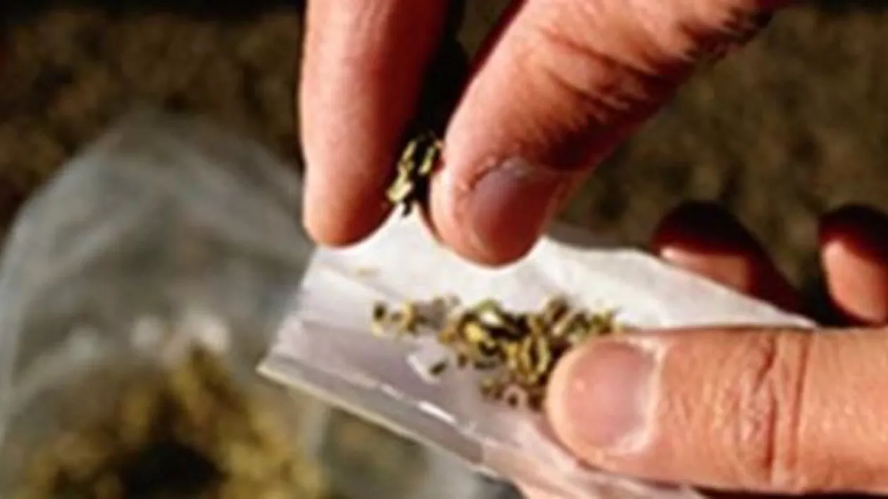 Autoritățile franceze au confiscat aproape șase tone de canabis