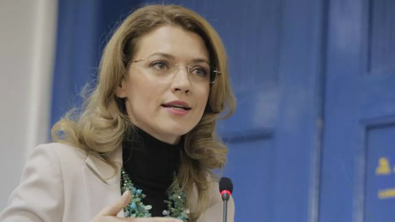 Alina Gorghiu: PNL se alătură demersului Camerei de Comerţ Americane în România privind consultările pe legislaţia achiziţiilor publice