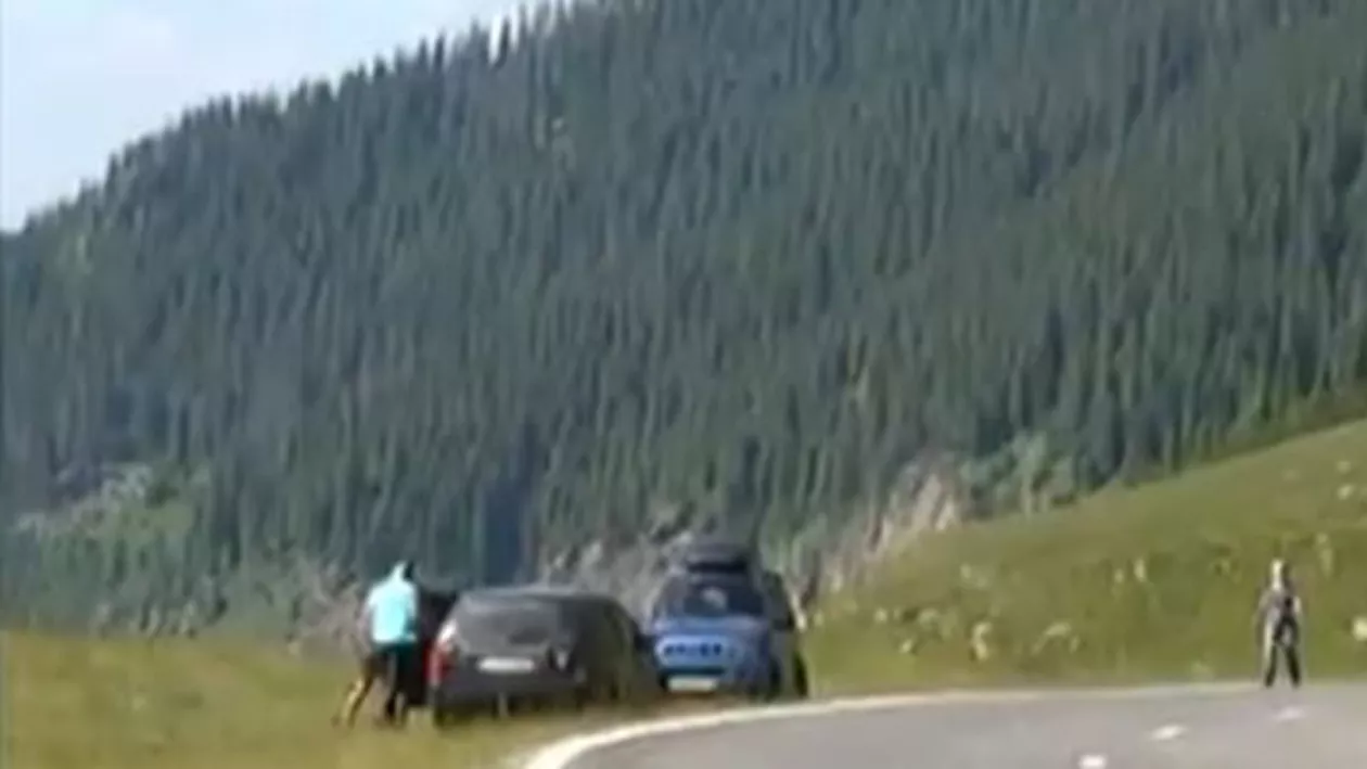 Operaţiunile de căutare a planorului dispărut în judeţul Braşov continuă: 850 de angajați ai M.A.I. și 12 aeronave participă la căutări (VIDEO)