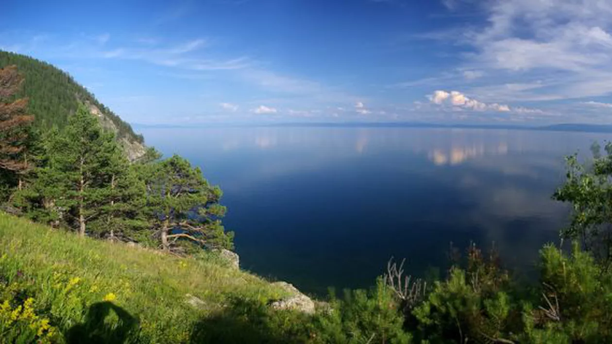 Siberia: Peste 120.000 de hectare de pădure, cuprinse de flăcări