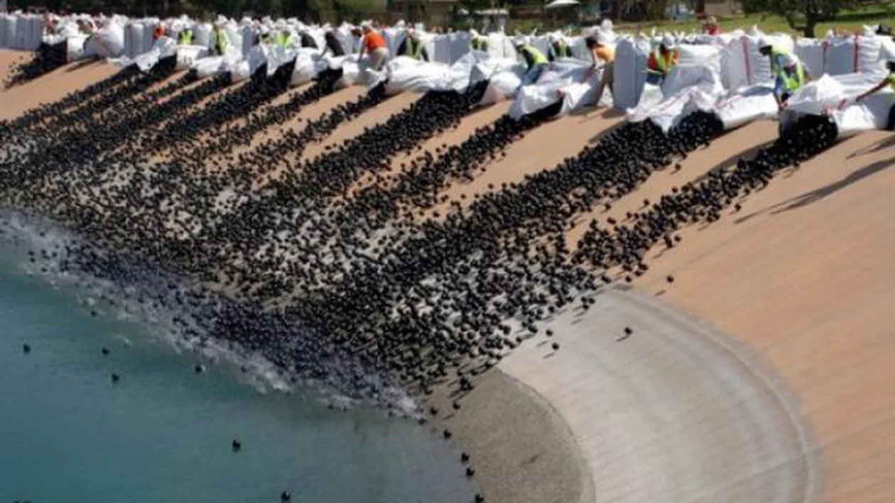 California: 96 de milioane de mingi de plastic au fost aruncate într-un rezervor cu apă pentru a evita evaporarea acesteia (VIDEO)