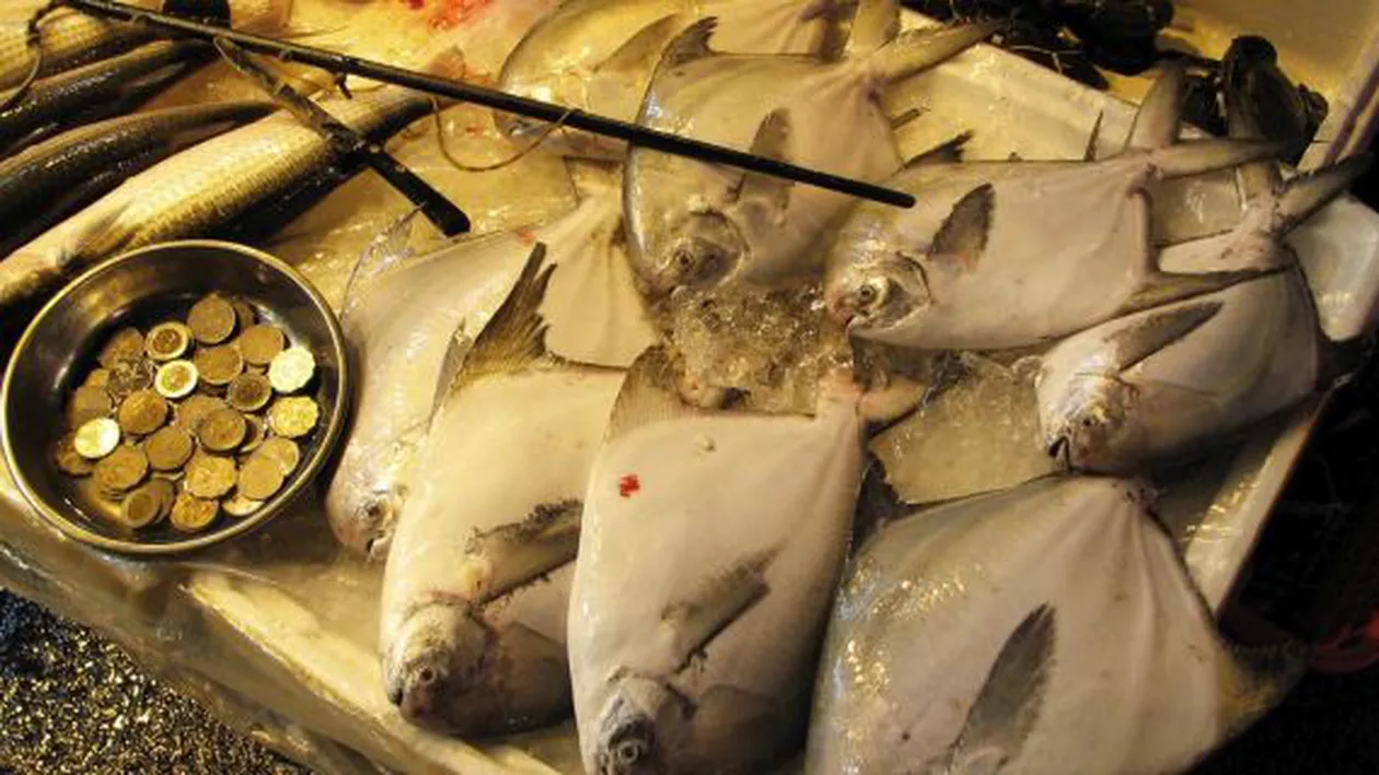 Hong Kong: Ecosistemul marin, pus în pericol de pofta nepotolită a locuitorilor pentru produsele mării