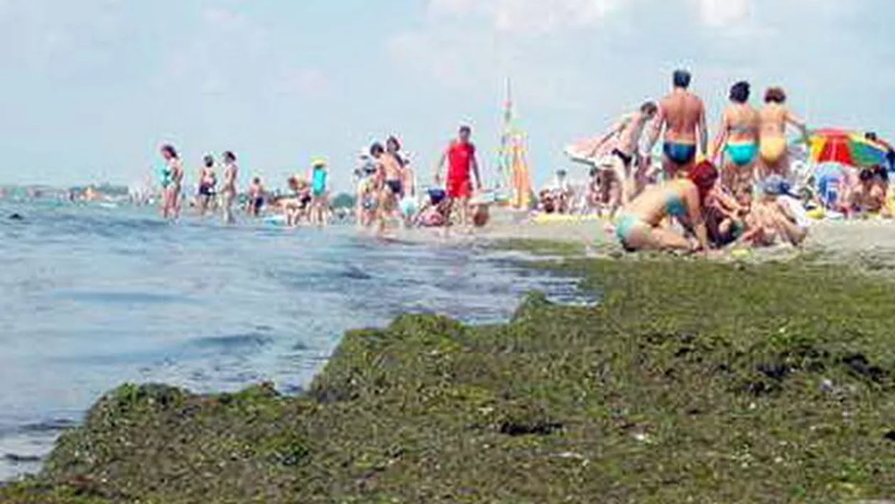 Plaja din Mamaia, plină de alge: Parcă se joacă copiii. Chiar m-am amuzat. Au venit și ei cu grebluța și lopățica