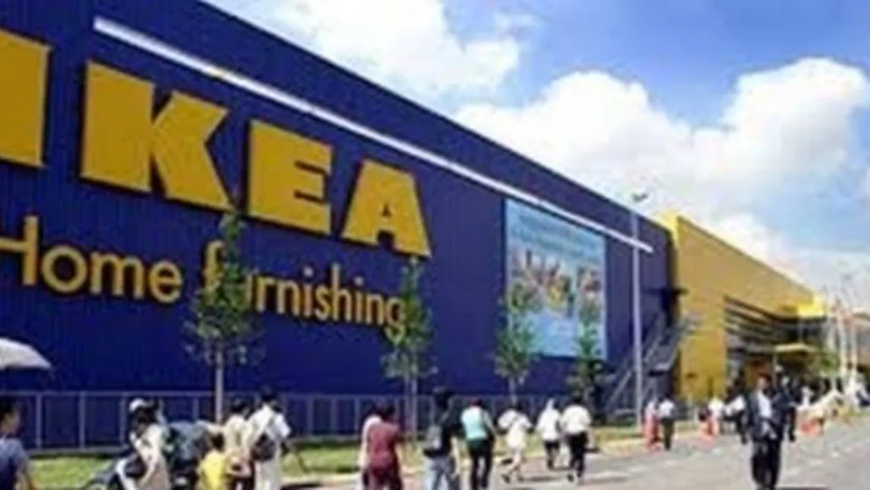 IKEA a trimis 130 milioane de euro companiei care a cumpărat peste 33.000 de hectare de pădure în România în numele grupului suedez