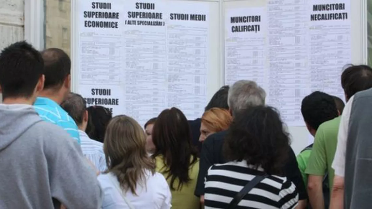 AJOFM: Absolvenții de facultate care au susținut licența în iulie pot primi ajutor de șomaj în valoare de 250 lei
