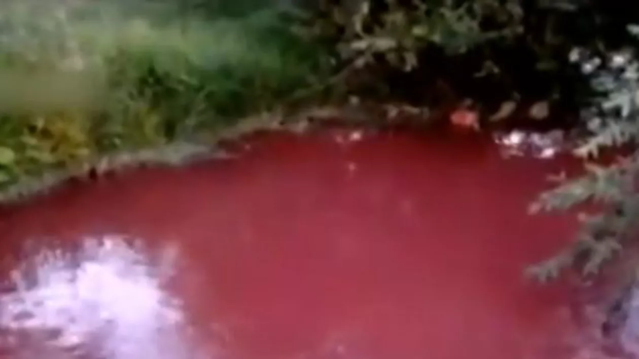Râul Bistrița, roșu dupa un dezastru ecologic (VIDEO)