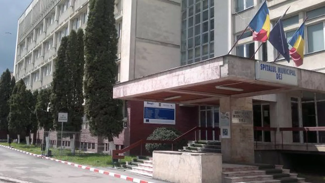 Cluj: Două persoane au fost mușcate de o ursoaică pe care au încercat să o alunge dintr-un lan de porumb