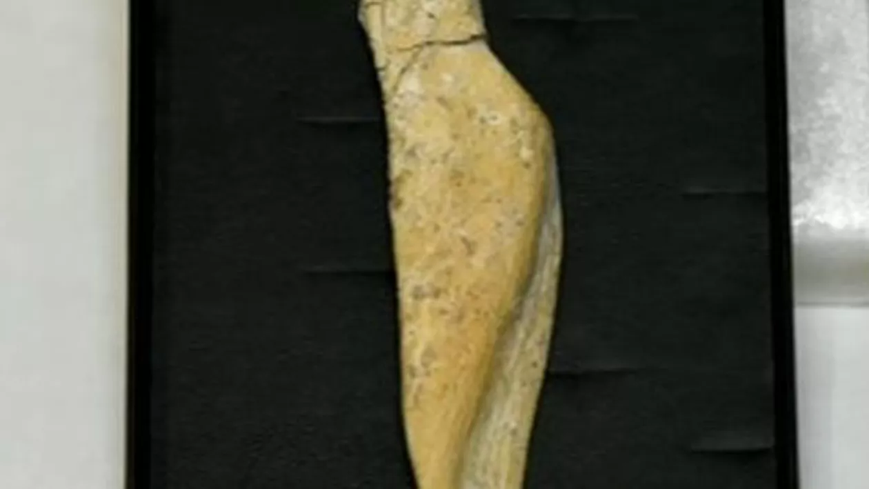 Statuetă veche de peste 23.000, găsită lângă Piatra Neamț. Cercetători: Istoria sculpturii din România va începe cu acest obiect
