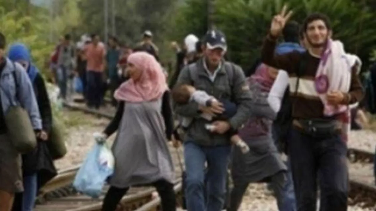 Austostrada ce face legătura între Danemarca și Germania, închisă din cauza imigranților (VIDEO)