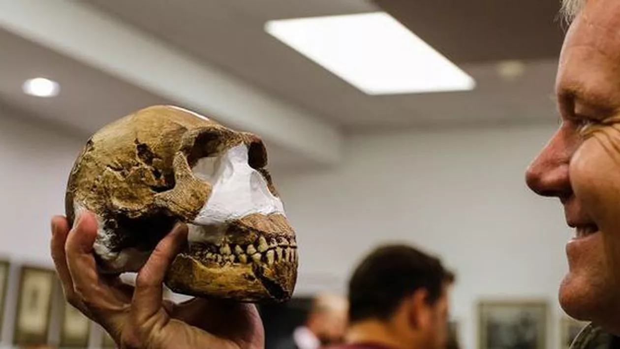 Africa de Sud: Homo Naledi, o nouă specie umană descoperită de o echipă de cercetători
