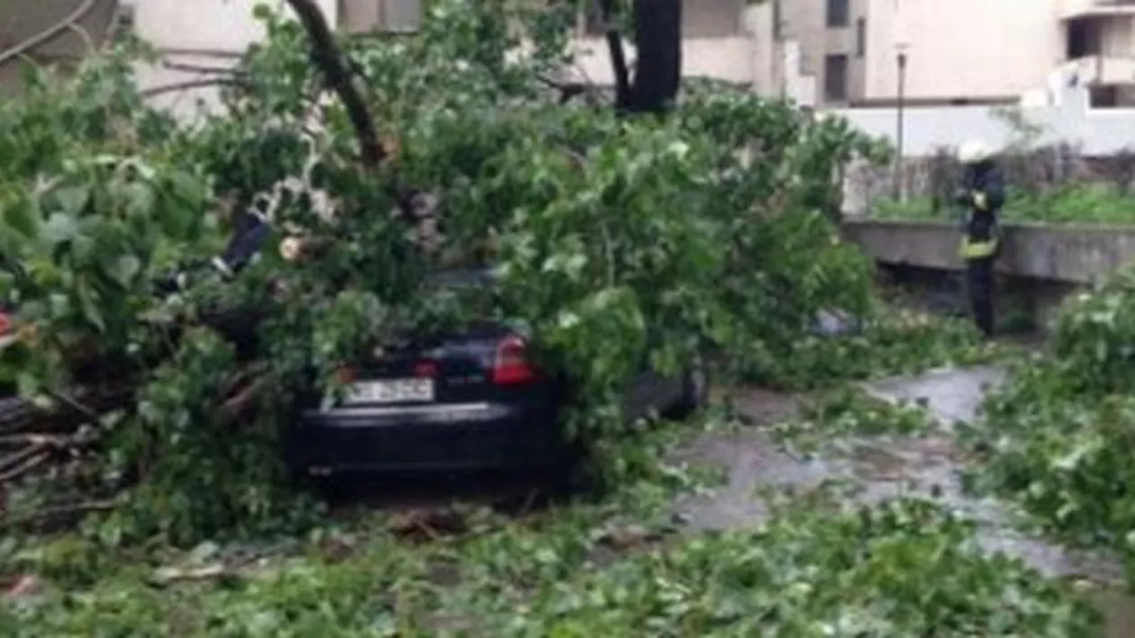 Un bărbat a murit, după ce un copac a căzut peste maşina pe care o conducea: Accidentul a avut loc pe DN 74