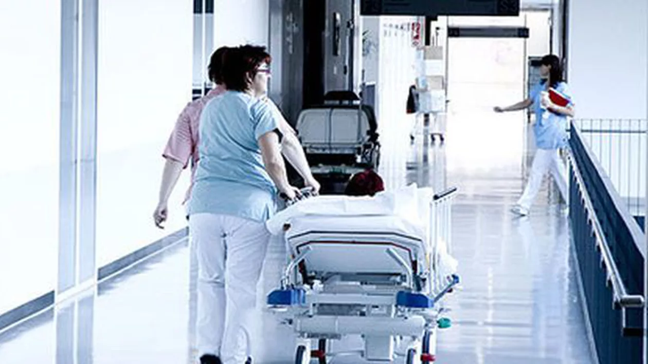 Sibiu: Două cazuri de meningo-encefalită virală West-Nile au fost confirmate