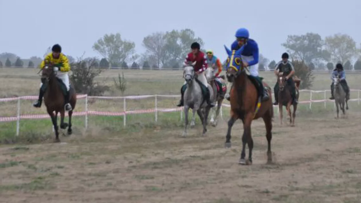 Mangalia: Hipodromul a fost redeschis după 12 ani și o investiție de 100.000 de euro