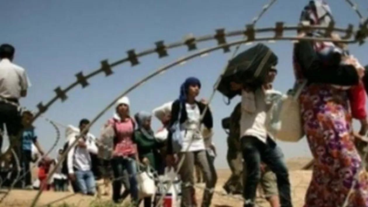 Măsuri sporite de securitate luate de autorităţile române la graniţa cu Serbia. MAI: Exercițiu de testare a capacității operaționale, în județul Timiș (VIDEO)