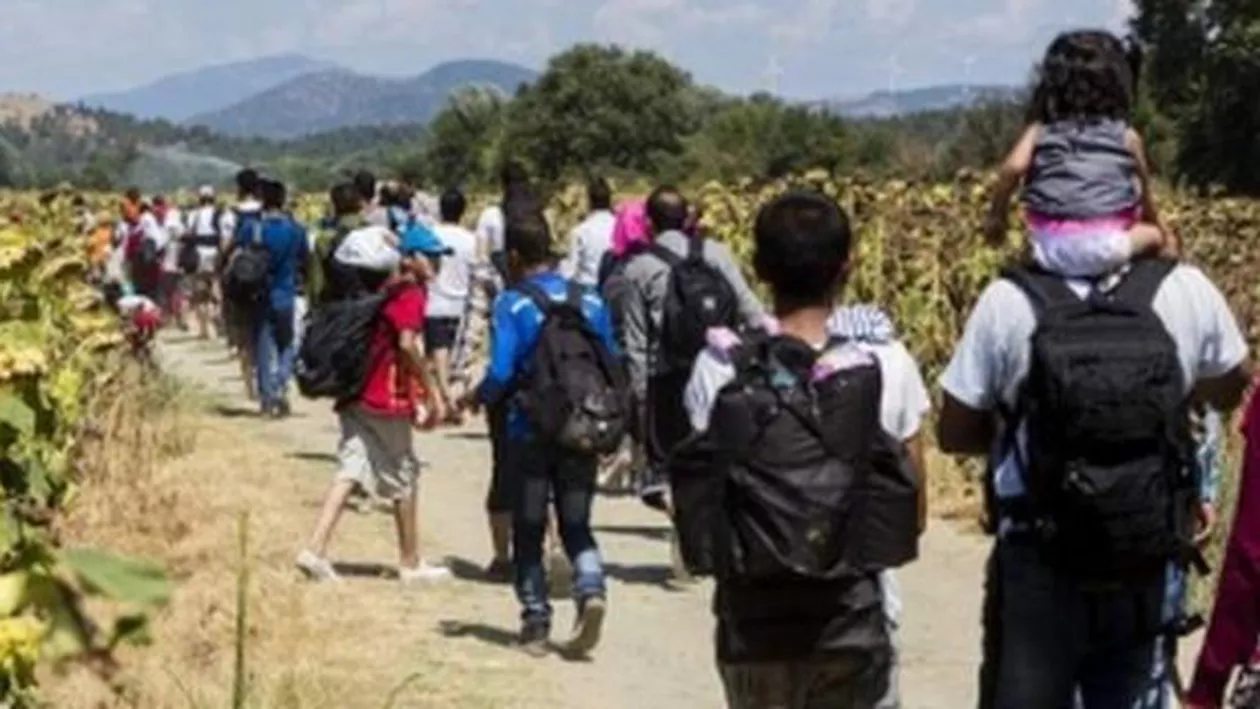 Eurostat: Doar unul din cinci imigranți care solicită azil în Europa este din Siria