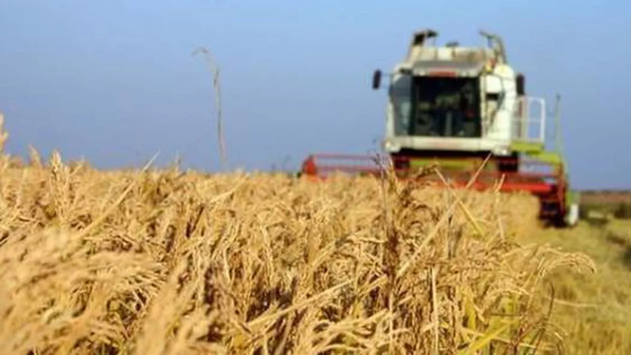 Agricultura va înregistra o scădere de 3% în 2015 și va contribui mai puțin la creșterea economică decât în anii trecuți