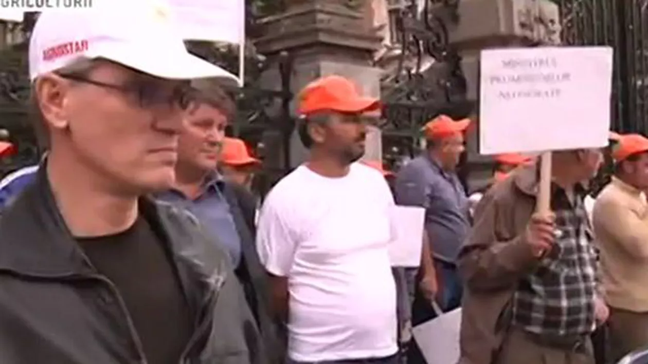 Legumicultorii protestează în faţa Ministerului Agriculturii, nemulțumiți de neacordarea despăgubirilor în urma secetei