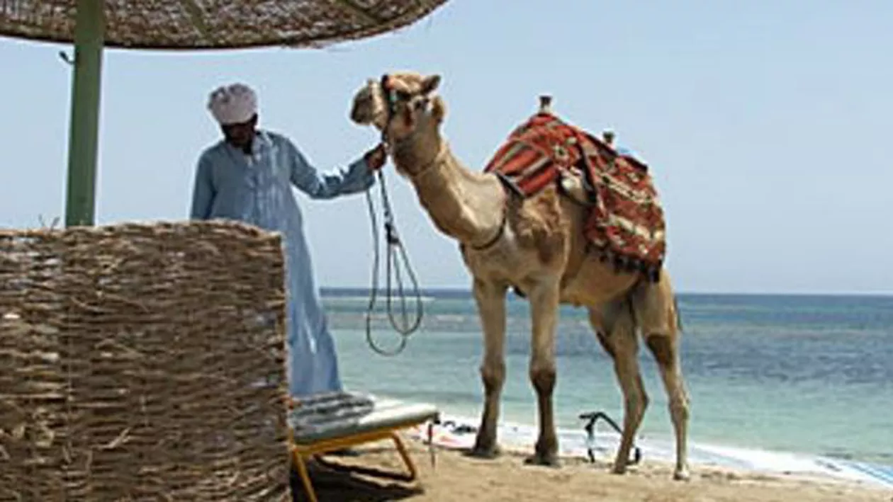 Teroriștii alungă turiștii: Au scăzut cererile pentru vacanțe în Egipt și Tunisia, dar cresc cele pentru Emiratele Arabe