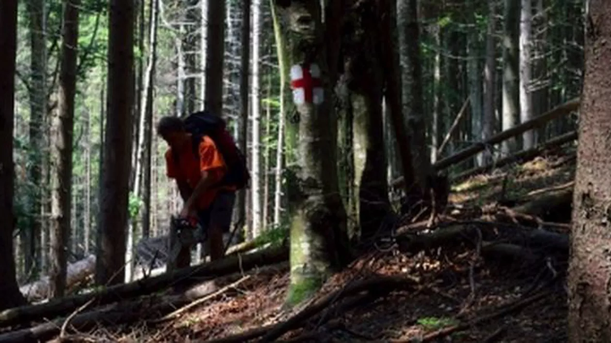 Două femei și un copil, găsiți morți în condiții suspecte, în Vrancea. Încă o fată de 15 ani e dată dispărută