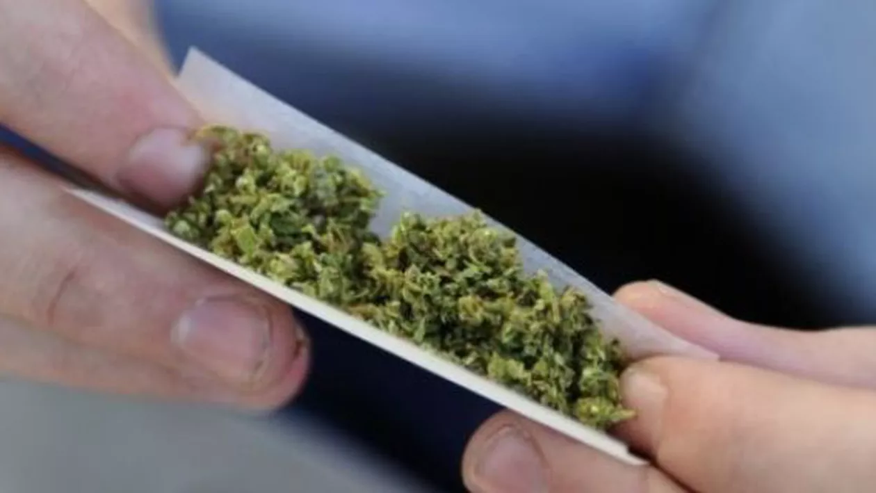 Patru elevi din Timișoara au ajuns la spital după ce au consumat etnobotanice în curtea școlii