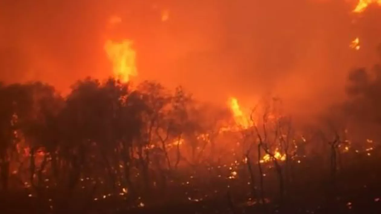 SUA, devastate de incendii: Suprafața arsă e cea mai mare din ultimii 55 de ani (VIDEO)