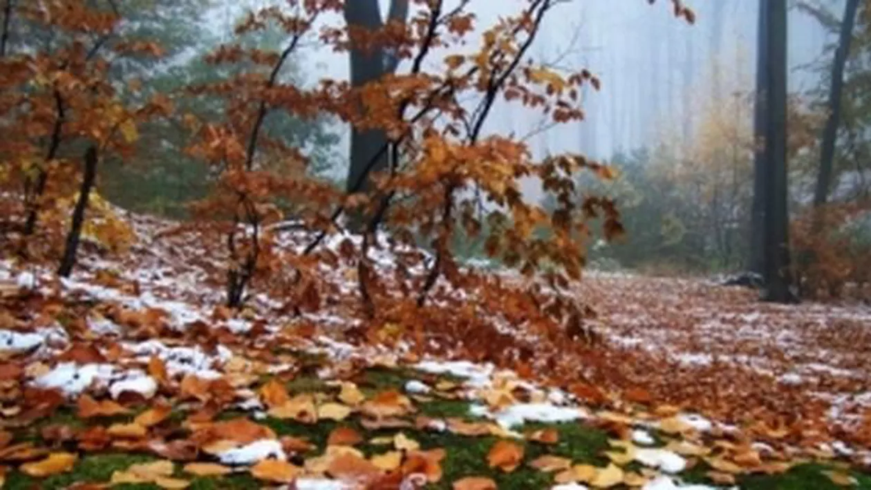 Meteorologi: Temperaturile cresc de joi. În Banat și Crișana vor ajunge la 22 de grade Celsius