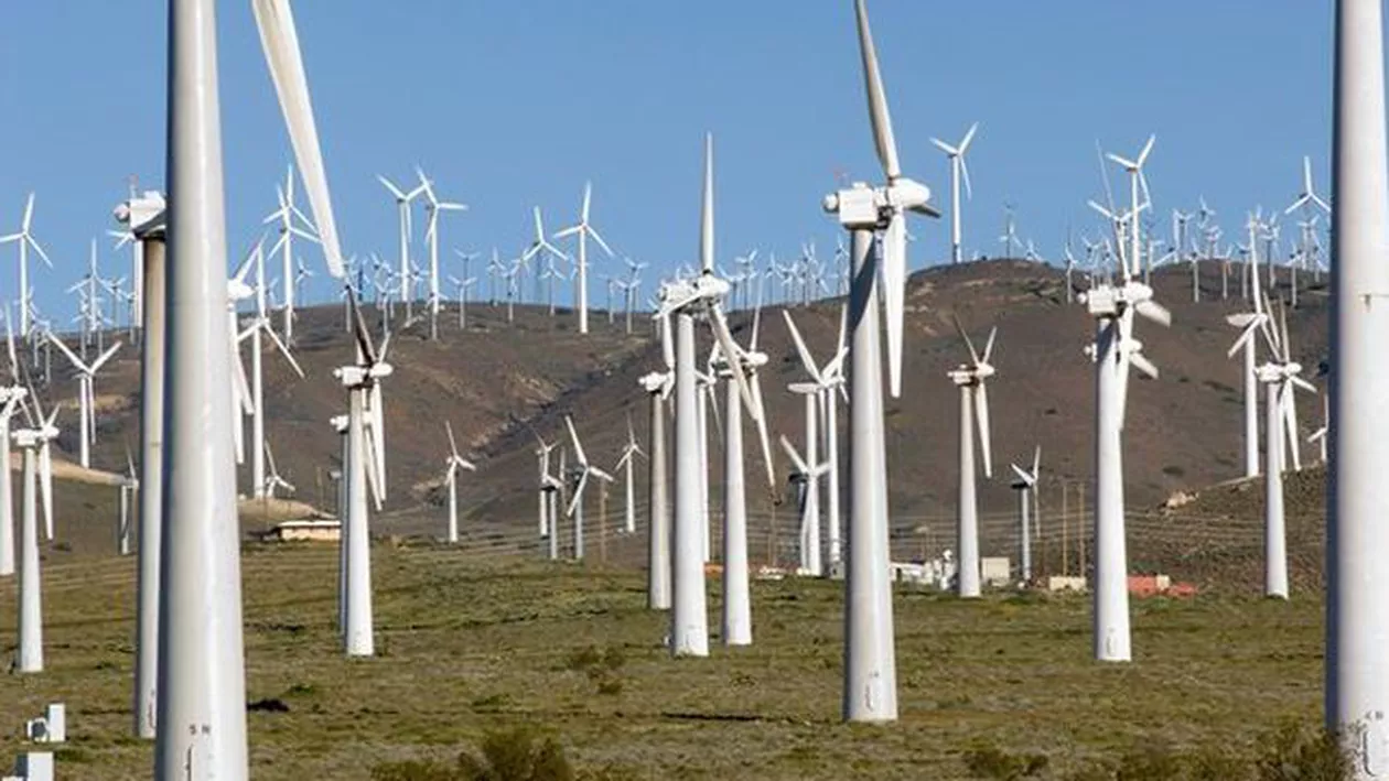 OMV Petrom vinde parcul eolian deținut în Dobrogea