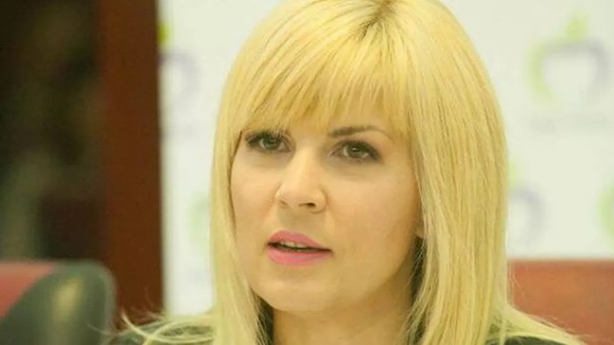 Elena Udrea şi-a studiat dosarul de 1867 de pagini timp de 7 ore: Nu există stenograme cu mine, iar Cocoș nu a făcut niciun denunț împotriva mea. În cazul vilei de la Eforie, singurul denunț este al lui Topoliceanu (VIDEO)