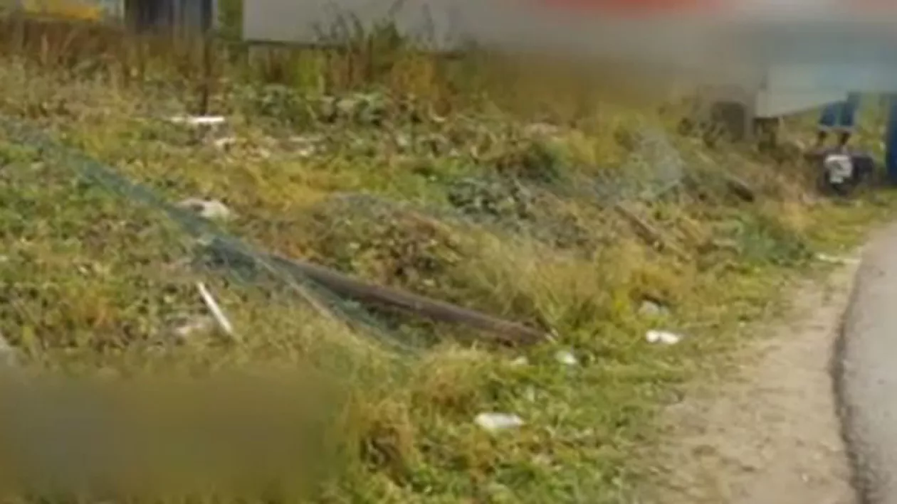 Cruzime fără margine în Borșa: Doi tineri au tăiat un cal cu drujba după ce l-au târât zeci de metri legat de un tractor (VIDEO)