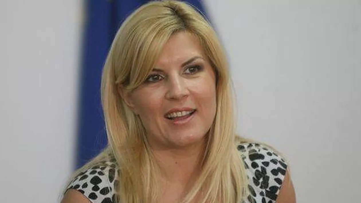 Udrea va afla miercuri decizia Plenului Camerei Deputaților privind urmărirea sa penală