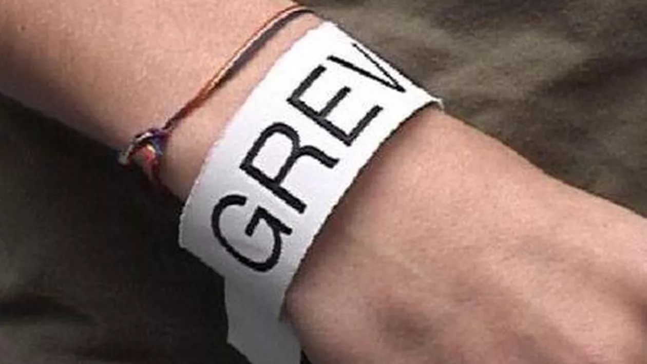 Sindicaliștii din Mediu intră, de luni, în grevă japoneză, până pe 13 noiembrie