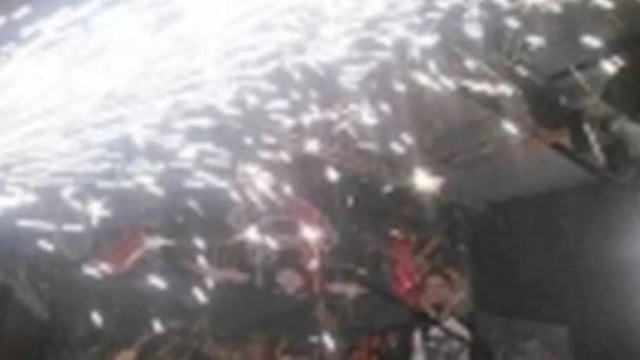 Șefa firmei care a dus artificiile în ”Colectiv”, urmărită penal în 2010 pentru artificii ilegale (VIDEO)