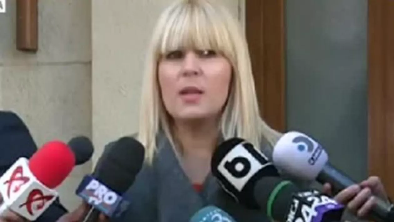 Elena Udrea, la DNA: Este exclus să plătesc cauțiunea de cinci milioane de lei (VIDEO)