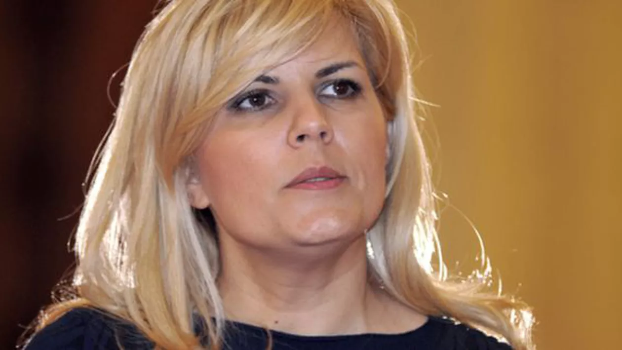 Avocatul Elenei Udrea: Una din firmele la care doamna Udrea este acționar a depus o garanție. Astfel, ea își va putea plăti cauțiunea