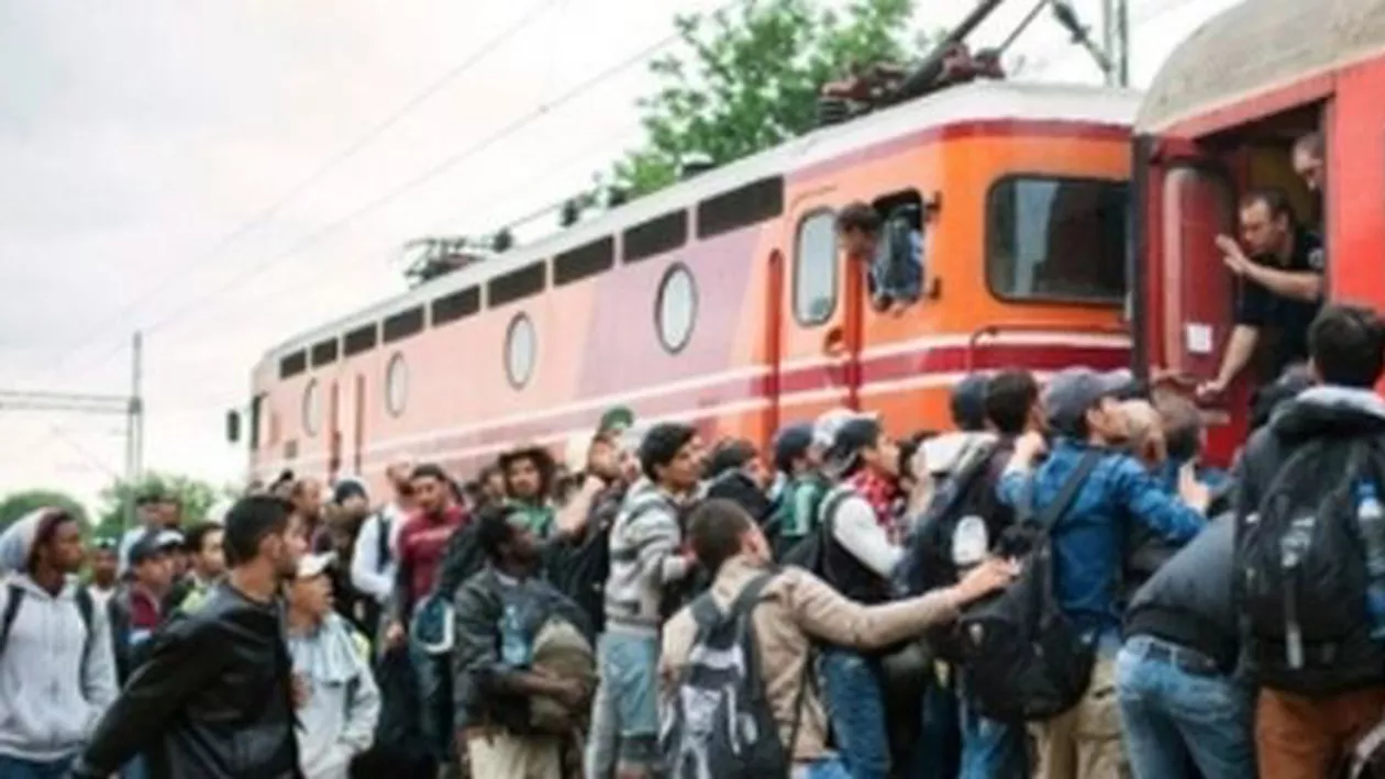 Șapte state americane au decis să nu mai primească refugiați sirieni