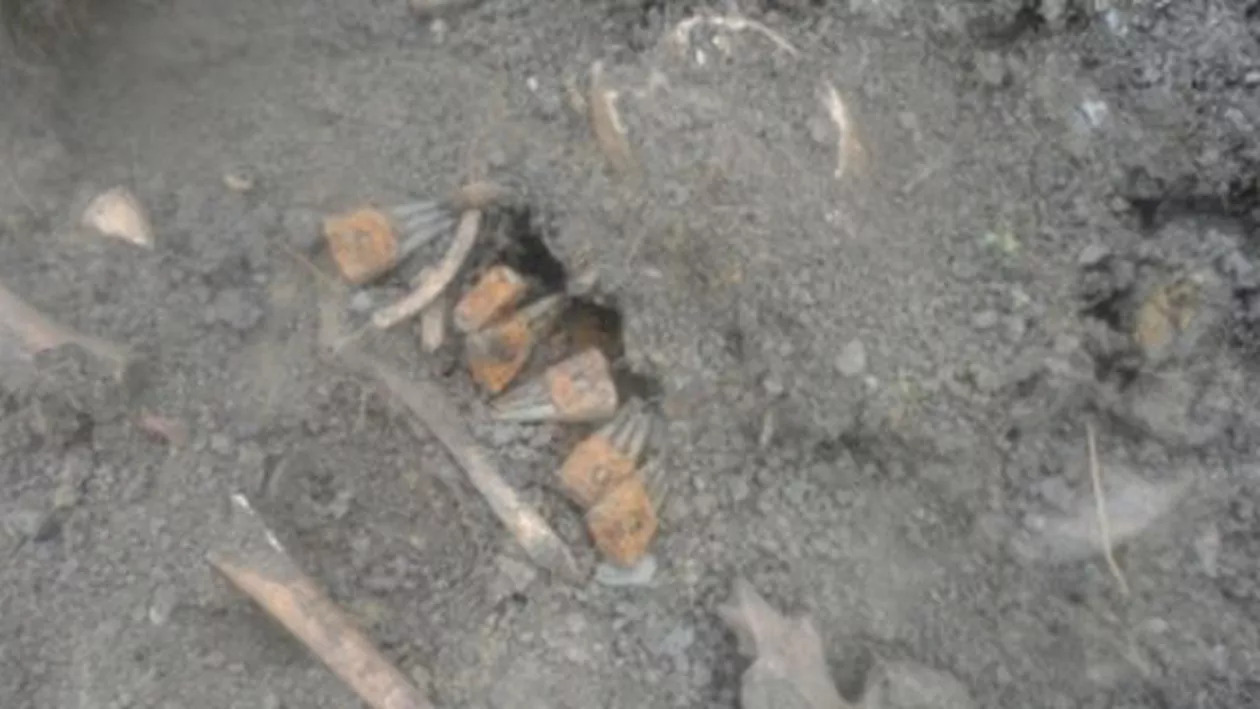Oseminte umane, găsite pe un teren agricol din apropiere de Râmnicu Vâlcea: Poliția a deschis o anchetă în acest caz