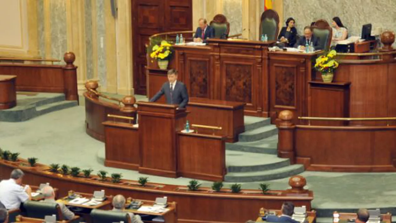 Senatul cumpără flori și aranjamente florale pentru a decora sălile de primiri și ședințe a unor cabinete