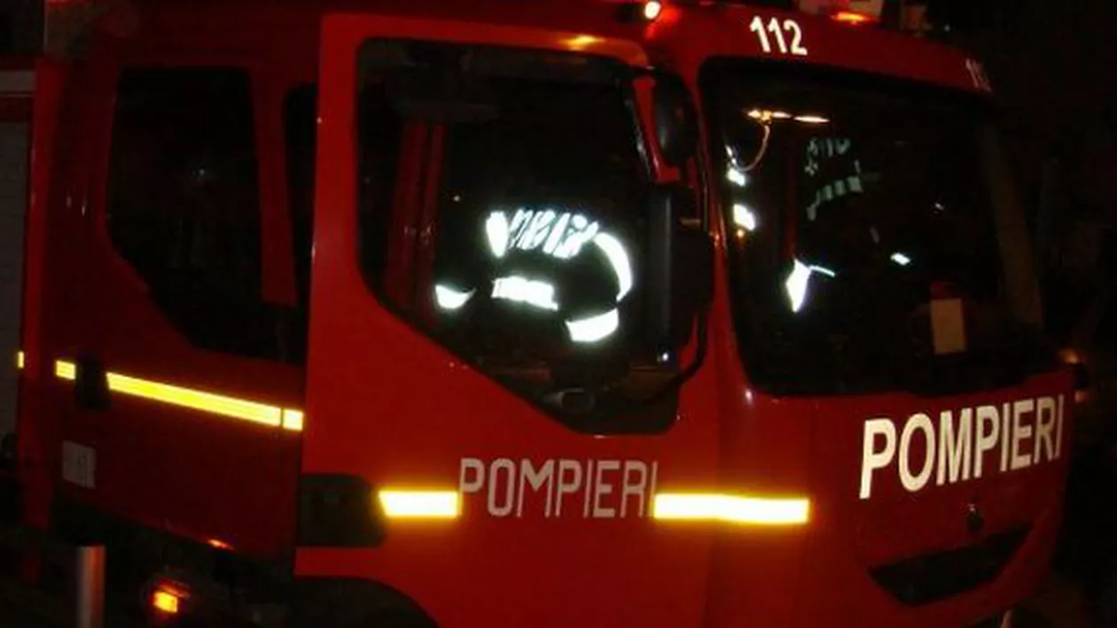 Constanța: Incendiu la o fermă de animale. Focul a izbucnit de la baloții de paie depozitați în apropiere