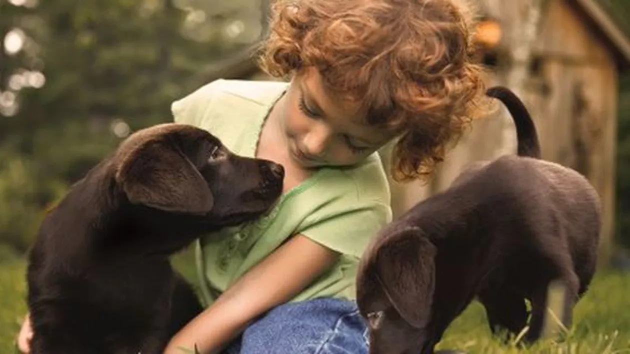 Studiu: Copiii care au fost martori ai unor acte de cruzime asupra animalelor au mari șanse să aibă stări de anxietate și depresie la maturitate