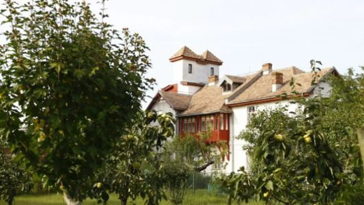 Autoritățile au aprobat construirea a trei blocuri lângă Muzeul Memorial Tudor Arghezi, deși Planul Urbanistic General permite doar construirea de case